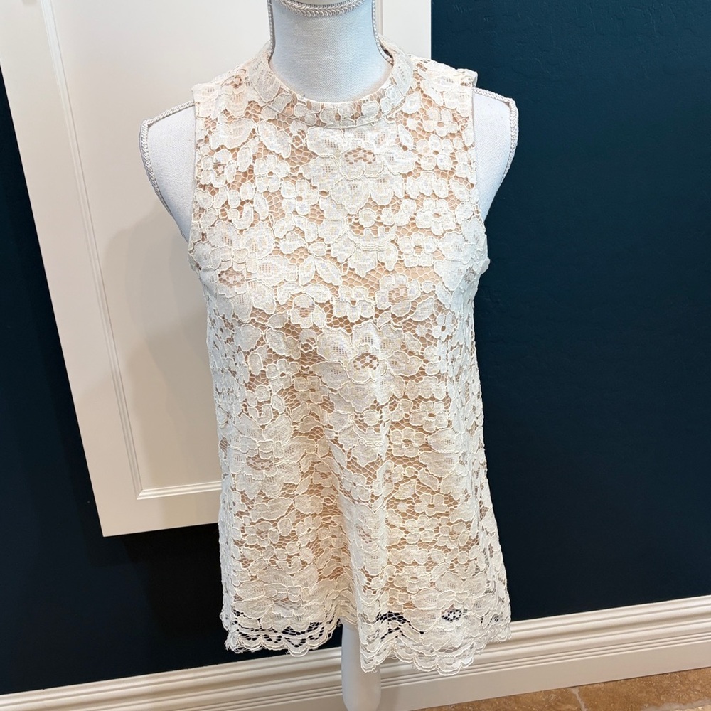 🎉Host Pick🎉 Rose & Olive sheer lace sleeveless top with nude lining